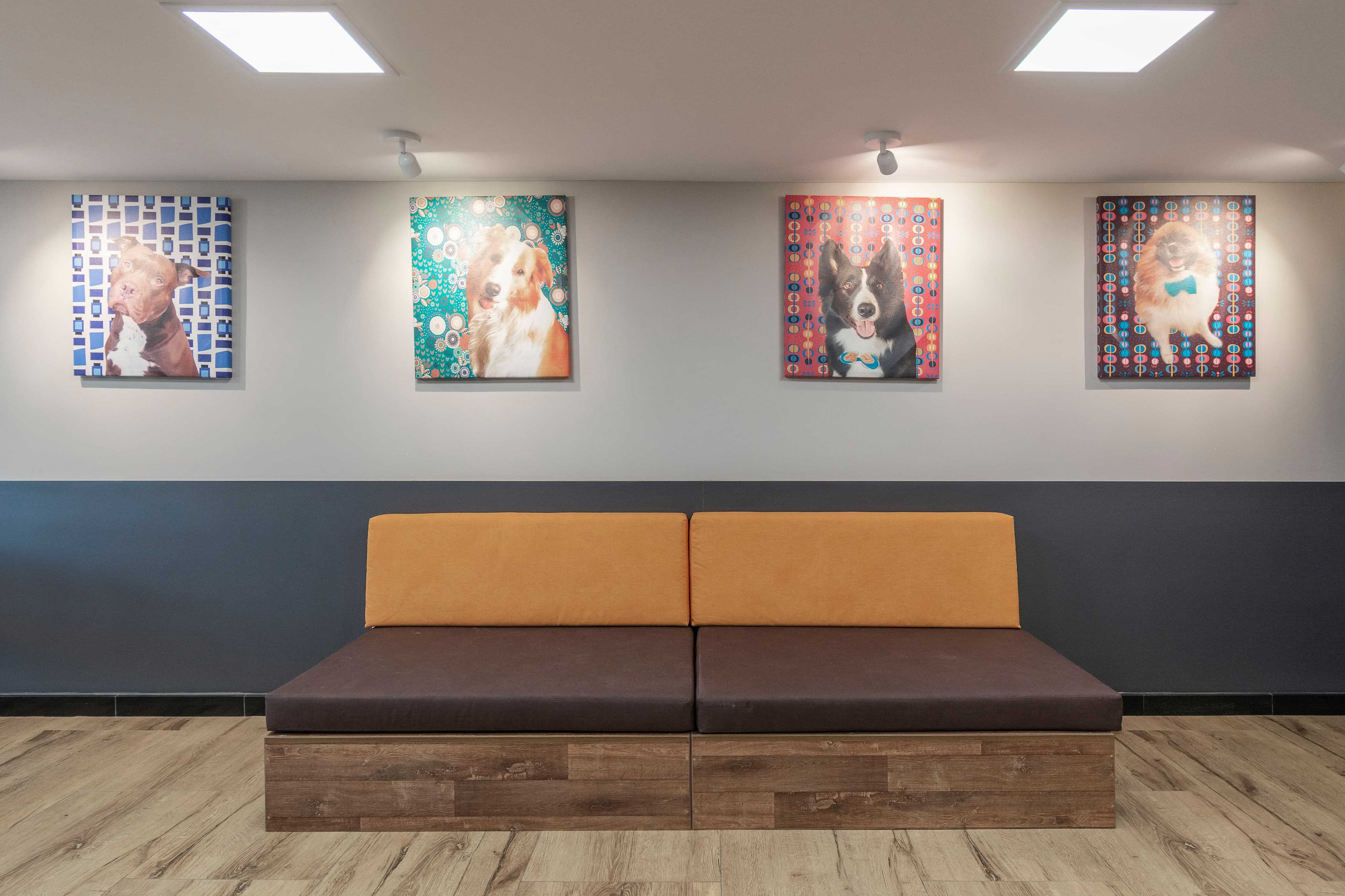 Foto da Galeria